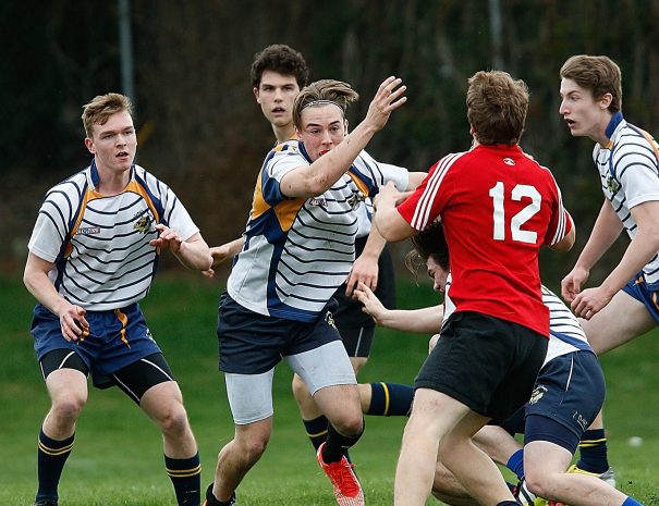 rugby-gc6c1973b7_1920